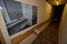 DSC_9366.jpg