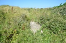 DSC_7592.JPG