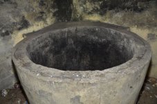 DSC_7687.JPG