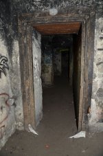 DSC_7711.JPG
