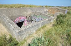 DSC_7746.JPG