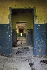 IMG_9238.jpg
