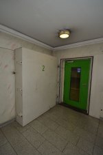 DSC_2539.JPG