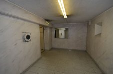 DSC_2546.JPG