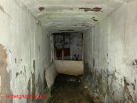 Spechthausen WGT GS 20. Armee 2013 (1).jpg