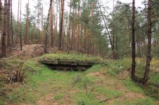 IMG_3896.jpg IMG_3896.jpg