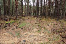 IMG_3894.jpg IMG_3894.jpg