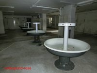 Institut für Anatomie 2013 (28).jpg