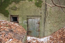 IMG_5638.jpg IMG_5638.jpg