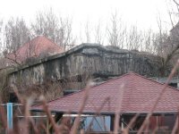030208 004.jpg