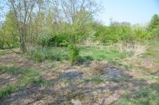 DSC_3716.JPG