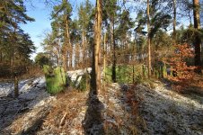 Ahlbeck_Trasse_01.JPG