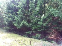 DSC_0337.jpg DSC_0337.jpg