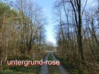 comp_Grentzrode Villa und GSSD Kaserne 12-2015  (1).jpg