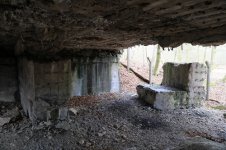 Hardtwald_04.JPG