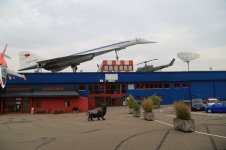 Sinsheim_02.JPG