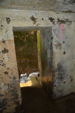 DSC_4978.JPG