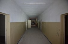 DSC_5105.JPG