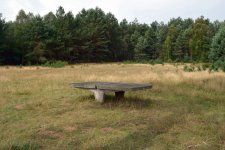 die Platte.JPG die Platte.JPG