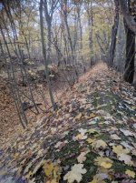 IMG_20181110_073120.jpg