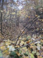 IMG_20181110_073735.jpg