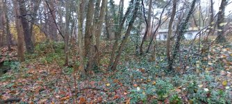 20211130_103645.jpg 20211130_103645.jpg