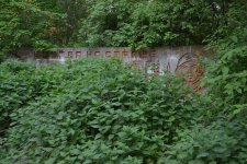 Jungle Feeling.JPG