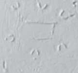 Screenshot 2026-05-01 172954.png